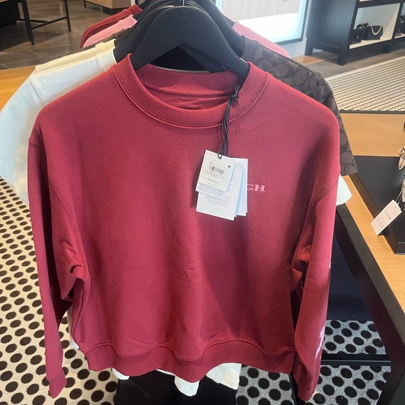 NWT Coach Outlet New Year Crewneck With Dragon - Picture 3 of 8